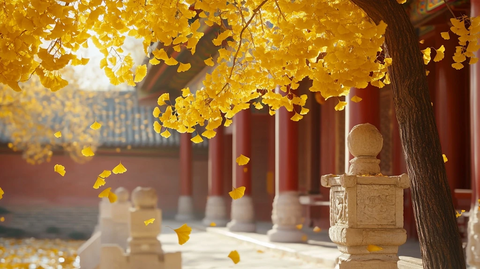 古建筑旁银杏飘落的唯美秋景