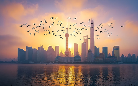 黄浦江畔鸟群飞过陆家嘴的黄昏景象