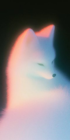 彩色雪狐坐于立体三角形