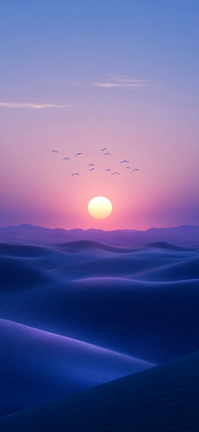 沙丘日落鸟影悠然