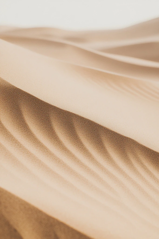 沙纹设计简约棕色