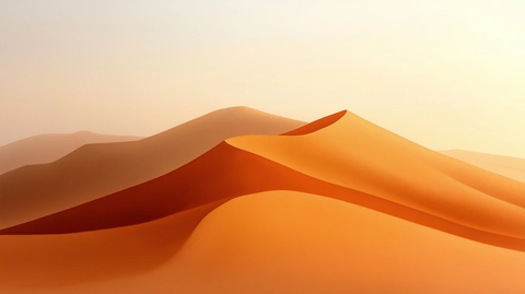 沙丘光影金色时分