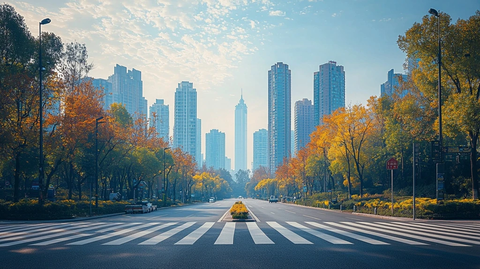 城市道路与两旁树木及高楼的景象