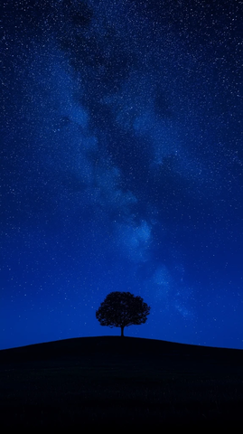 星光平原摄影作品