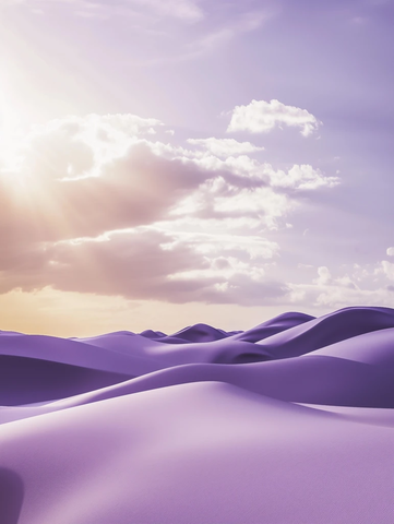 紫丁香沙丘天空景观