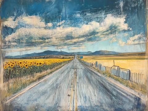 公路旁向日葵与军事屏障