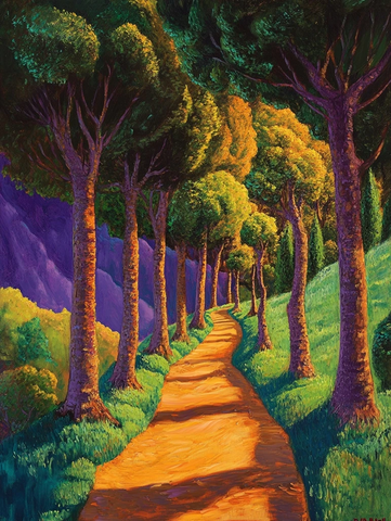 树荫小径乡村风景