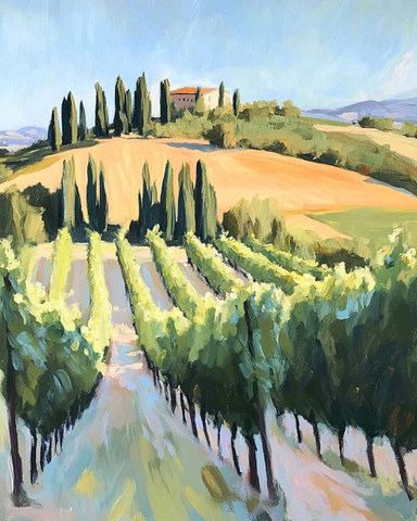 葡萄园行山丘延展