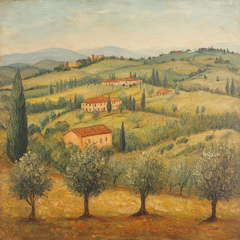 橄榄树与丘陵风景画