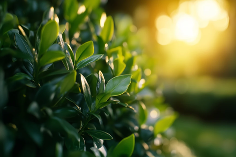 医生玩偶穿着白大褂