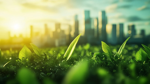 企业参与自然碳信用