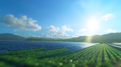 太阳能板排列草地与蓝天