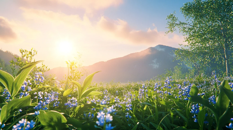 百合花与蓝铃花盛开