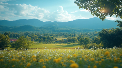 泰国风情舞蹈表演