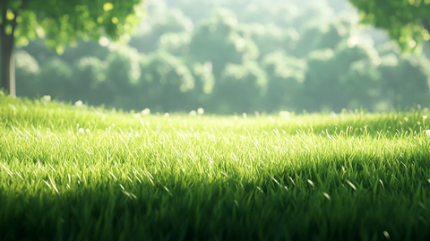 平坦绿草地高清细节