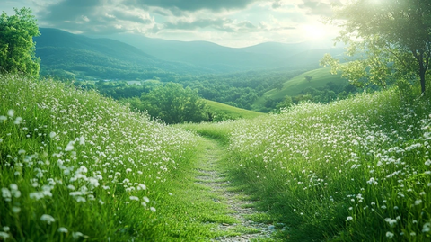 绿色景观冥想环境