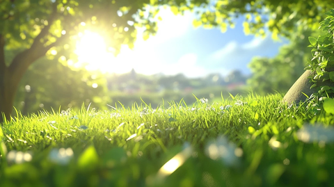 生机勃勃的草原