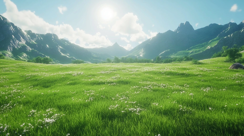 绿色草地景观场景