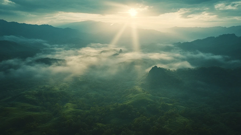 晨曦雾山金光初现
