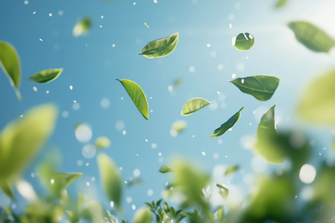 蓝天空茶叶漂浮晨光