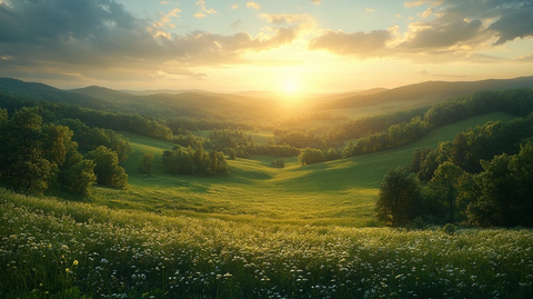 山谷森林光照全景