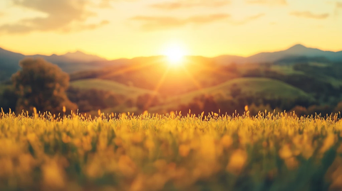 夕阳半掩红霞满天