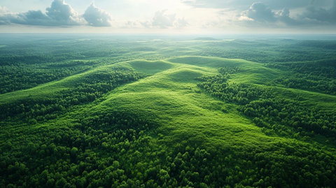 广袤草地与自然景观