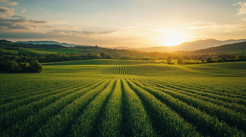 青年农民社区绿野科技