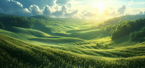 自然光线下的浪漫细节