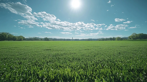 低视角天空背景房屋建筑