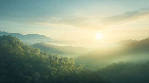 绿山森林阳光穿透