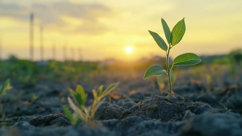 绿色能源创业财务预测