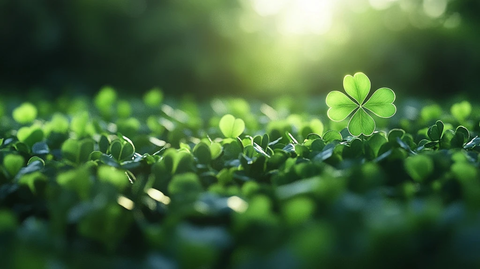 绿色草地与发光四叶草