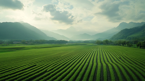 山脉田野光影交错