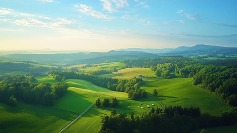 绿荫山丘与金色阳光