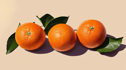 橙子带绿叶放纯色背景