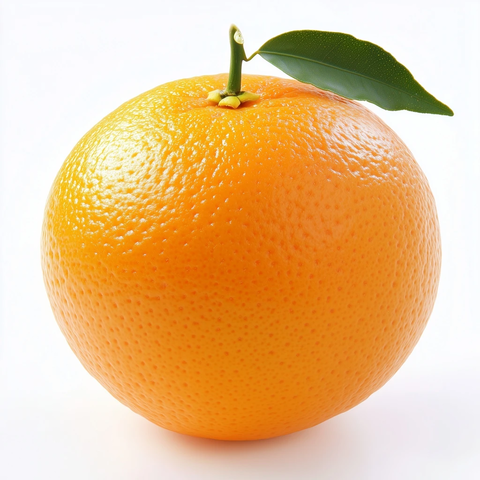 白色背景上的橙色图像