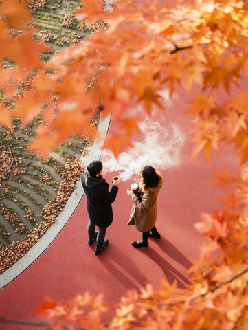 红道上赏秋叶的两人