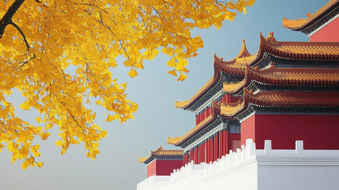 金黄银杏叶映衬下的古建筑