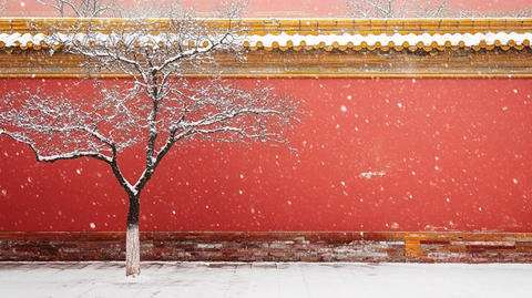 红墙雪景中的孤树