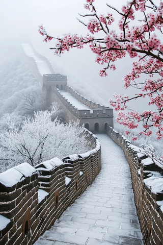 雪中的长城与盛开的桃花相映成趣
