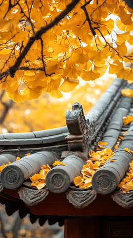古建筑屋顶上铺满金黄银杏树叶