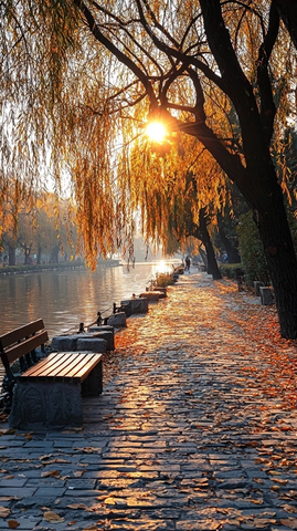 水边石板路落叶满地的唯美秋景