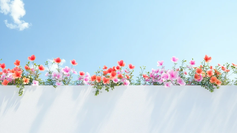 白墙上的彩色花朵