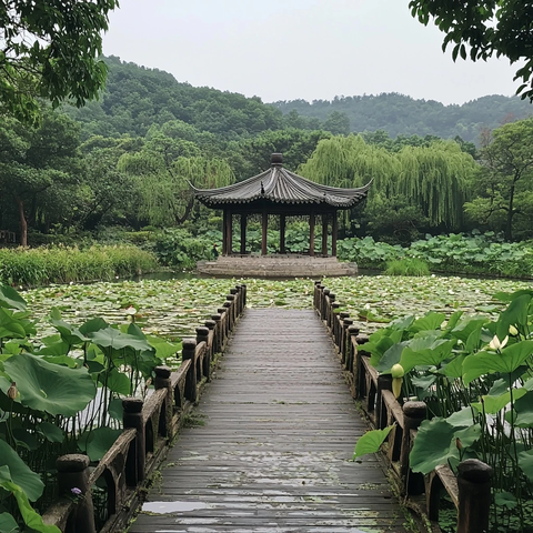 莲池上的木桥与古典亭子的优美景致