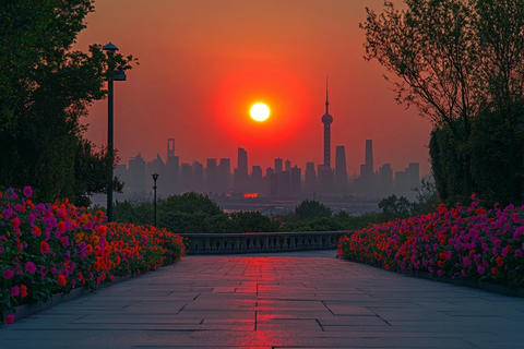 夕阳下城市天际线与繁花小径相映成趣
