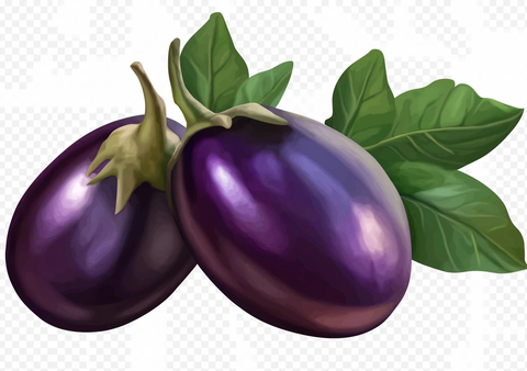 透明背景茄子
