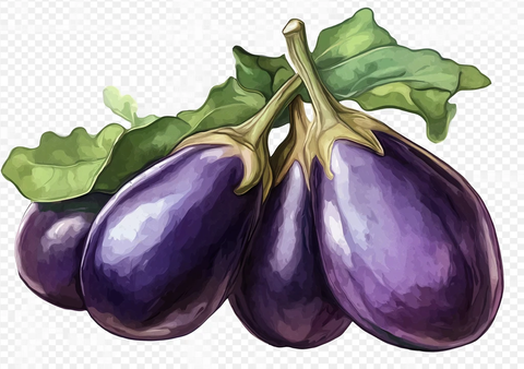 透明背景茄子图片