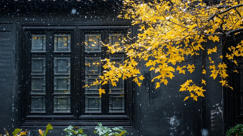黑屋窗前飘雪伴金黄枫叶的唯美景致