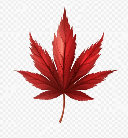 红枫叶卡通矢量图